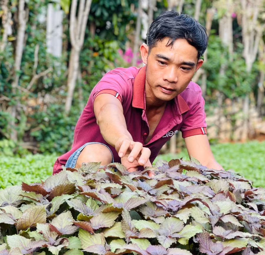 khoi-nghiep-xanh-1.jpg