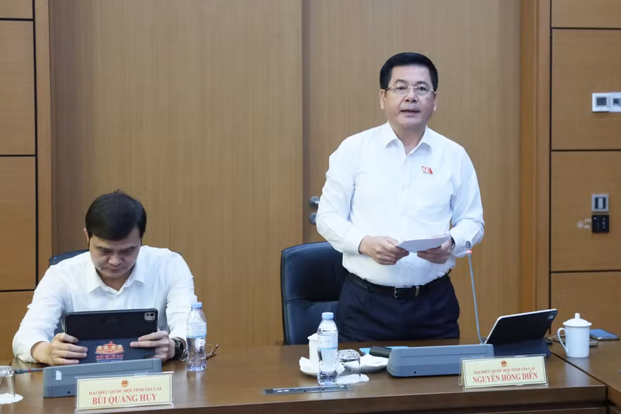 pho-chu-tich-quoc-hoi-nguyen-hong-dien-anh-doan-dbqh-tinh-gia-lai.jpg