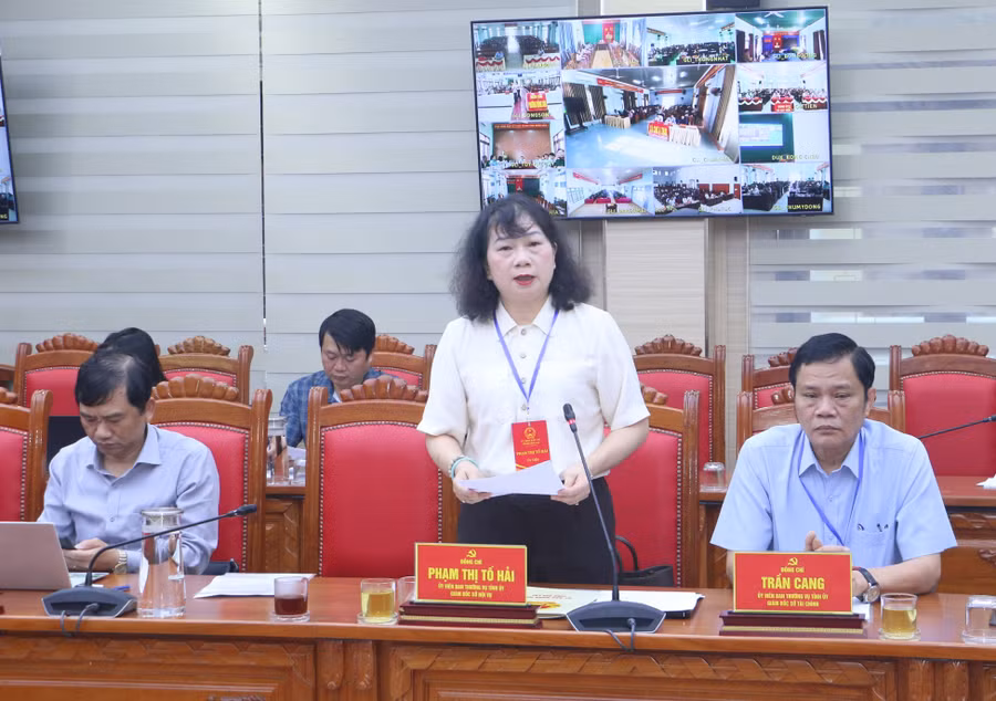 giam-doc-so-noi-vu-pham-thi-to-hai-bao-cao-cong-tac-chuan-bi-bau-cu-quang-tan.jpg