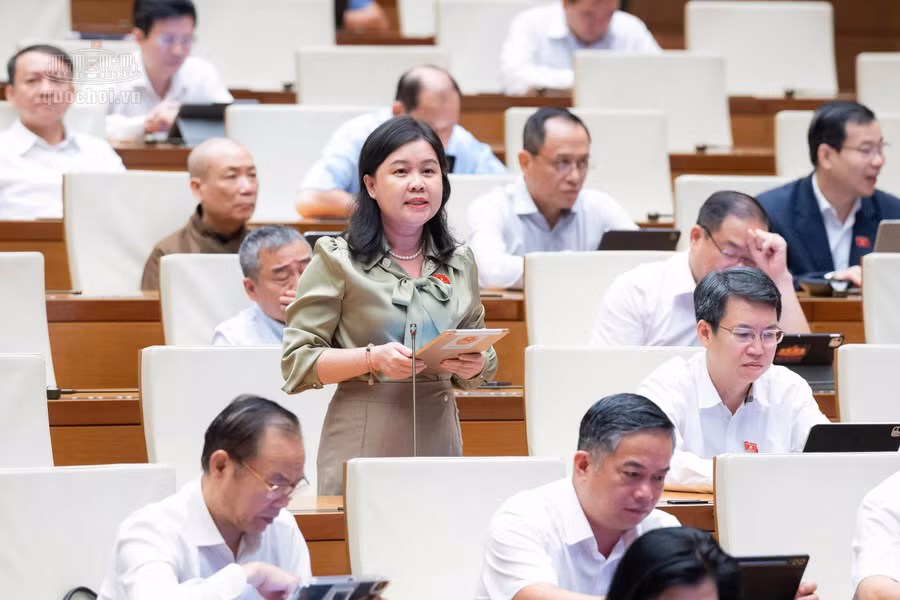 dai-bieu-nguyen-phuong-thuy-doan-dbqh-thanh-pho-ha-noi-phat-bieu.jpg