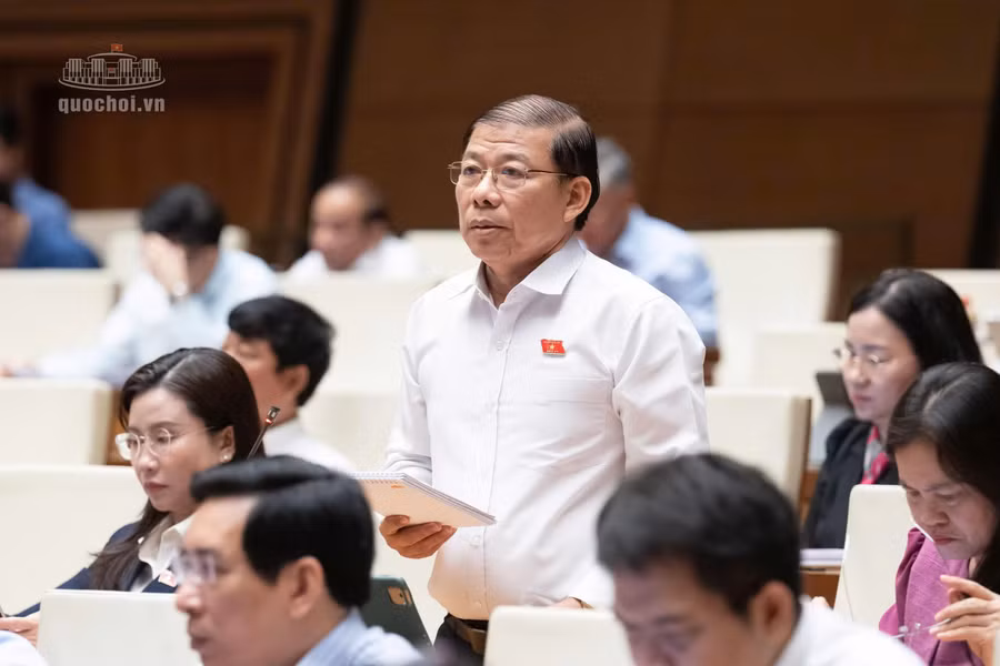 dai-bieu-nguyen-thanh-sang-doan-dbqh-tp-ho-chi-minh-phat-bieu.jpg