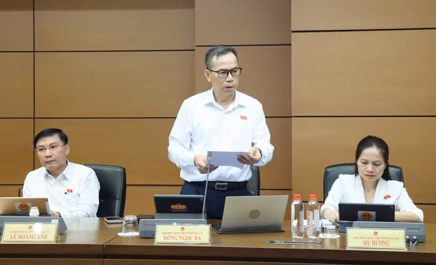 db-dong-ngoc-ba-de-nghi-sua-doi-dieu-7-luat-dau-tu-theo-huong-quy-dinh-ro-tieu-chi-xac-dinh-nganh-nghe-dau-tu-kinh-doanh-co-dieu-kien-7505.jpg