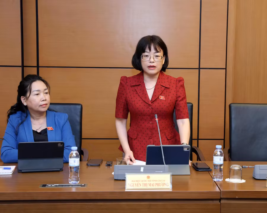 db-nguyen-thi-mai-phuong-la-de-nghi-ban-soan-thao-tiep-tuc-ra-soat-de-bao-dam-tinh-thong-nhat-giua-cac-quy-dinh-cua-luat-xuat-ban-voi-luat-so-huu-tri-tue-va-cac-cam-ket-quoc-te.jpg