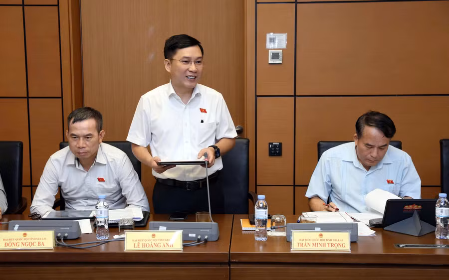 db-le-hoang-anh-cho-rang-du-thao-can-tiep-tuc-hoan-thien-de-khac-phuc-nhung-lo-hong-trong-quan-ly-ngan-chan-tinh-trang-xuat-ban-cac-an-pham-xuyen-tac-lich-su-boi-nho-lanh-tu.jpg