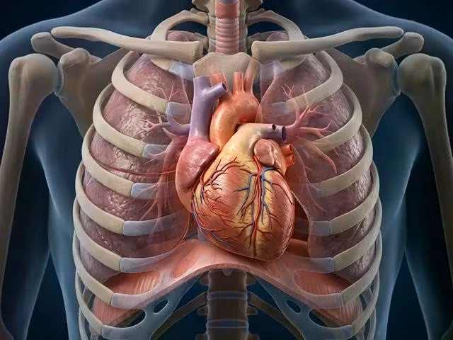 Bệnh tim có thể âm thầm tiến triển trong nhiều năm trước khi xuất hiện triệu chứng. Ảnh minh họa: N.Quý tạo từ Gemini