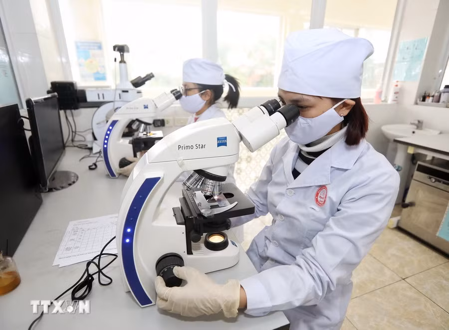 Thanh niên nghiên cứu khoa học. Nguồn: TTXVN