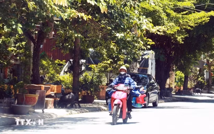 nang-nong.jpg
