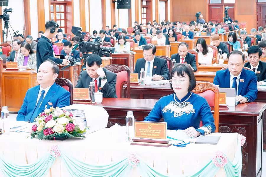 cac-dai-bieu-du-ky-hop-dt.jpg