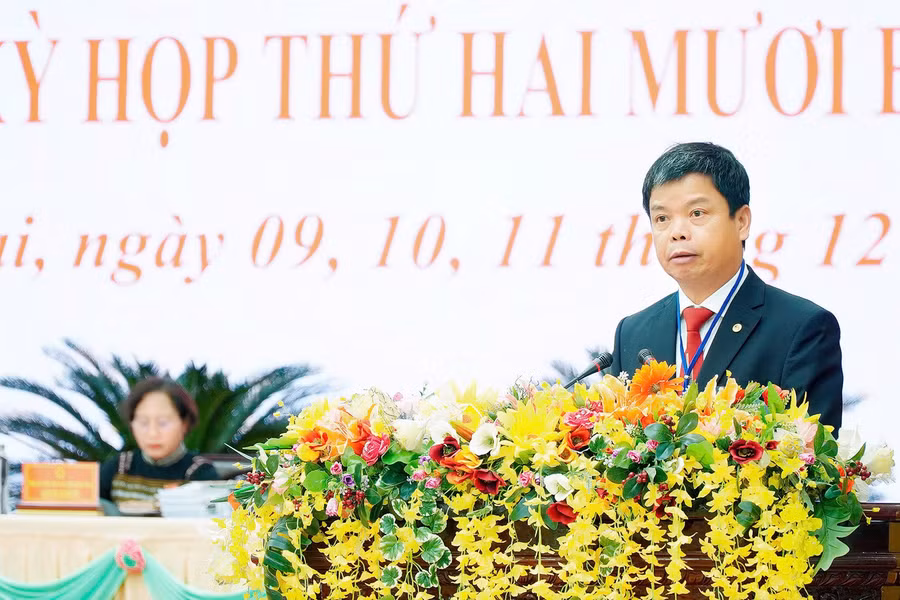 pho-chu-tich-ubnd-tinh-nguyen-huu-que-bao-cao-tinh-hinh-phat-trien-kinh-te-xa-hoi-cua-tinh-nam-2024.jpg