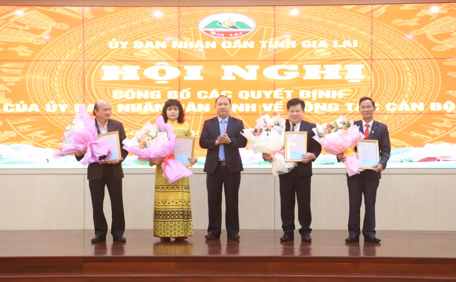 chu-tich-ubnd-tinh-rah-lan-chung-trao-cac-quyet-dinh-nghi-huu-truoc-tuoi-theo-nghi-quyet-178.jpg