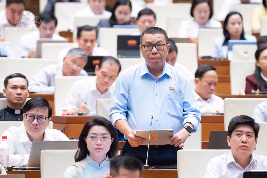 dai-bieu-tran-manh-huy-doan-dbqh-thanh-pho-da-nang-phat-bieu.jpg