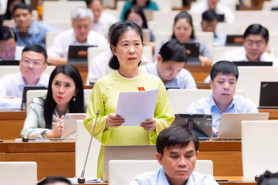 dai-bieu-to-ai-vang-doan-dbqh-thanh-pho-can-tho-phat-bieu-y-kien.jpg