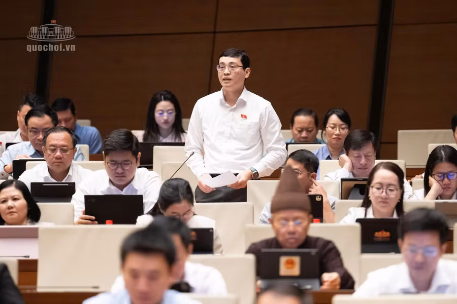 dai-bieu-do-duc-hien-doan-dbqh-thanh-pho-ho-chi-minh-phat-bieu.jpg