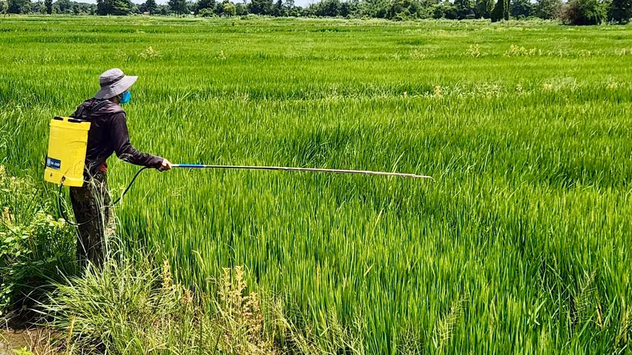 thuy-loi-2.jpg