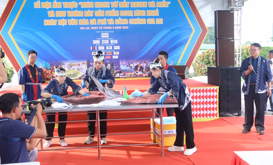 man-trinh-dien-phi-le-ca-ngu-dai-duong-anh-quang-tan.jpg