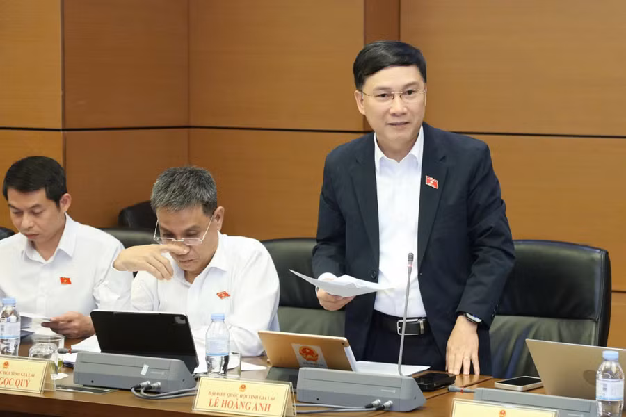 dai-bieu-le-hoang-anh-anh-doan-dbqh-tinh-gia-lai.jpg