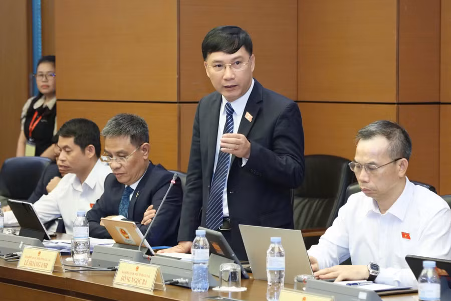 db-le-hoang-anh-bo-sung-quy-dinh-giai-thich-khai-niem-buu-chinh-vao-du-thao-luat-anh-doan-dbqh-tinh-gia-lai.jpg