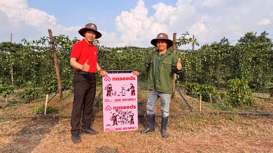 giong-chanh-leo-2.jpg