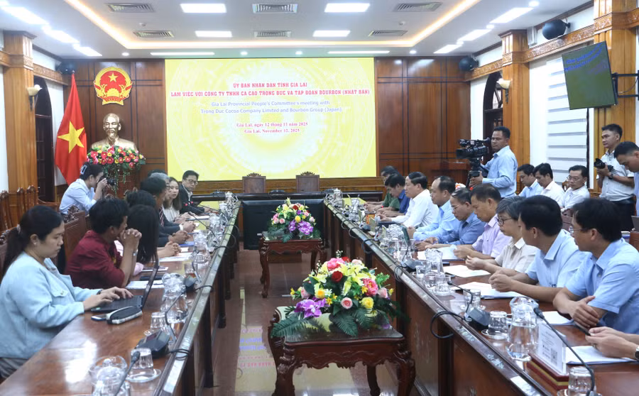 quang-canh-buoi-lam-viec-quang-tan.jpg