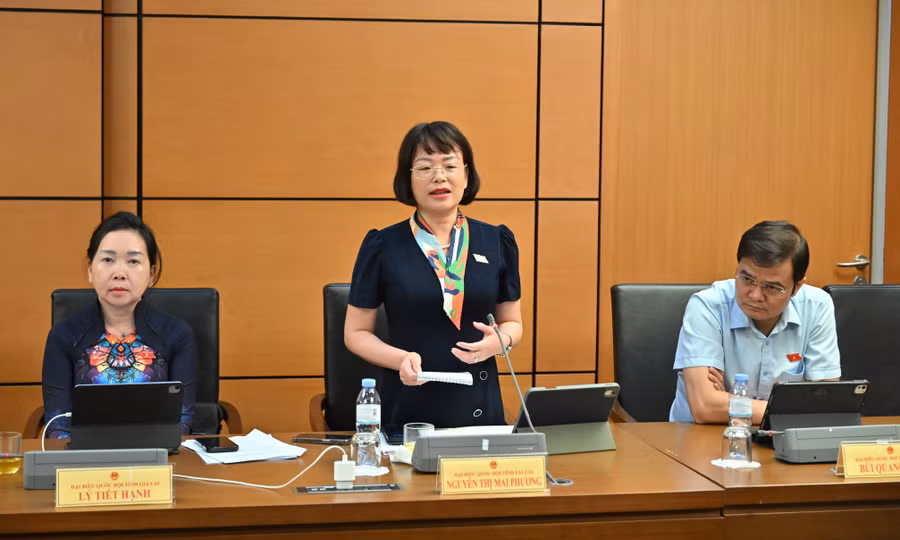 db-nguyen-thi-mai-phuong-de-nghi-co-quan-soan-thao-tiep-tuc-ra-soat-phan-dinh-ro-pham-vi-giua-chinh-sach-nha-o-va-hoat-dong-kinh-doanh-bat-dong-san.jpg