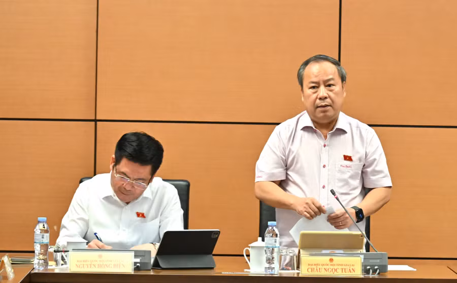 db-chau-ngoc-tuan-cho-rang-viec-dua-doi-ngu-dia-chinh-va-he-thong-dang-ky-dat-dai-ve-cap-xa-de-phu-hop-voi-mo-hinh-chinh-quyen-dia-phuong-2-cap-la-hop-ly.jpg