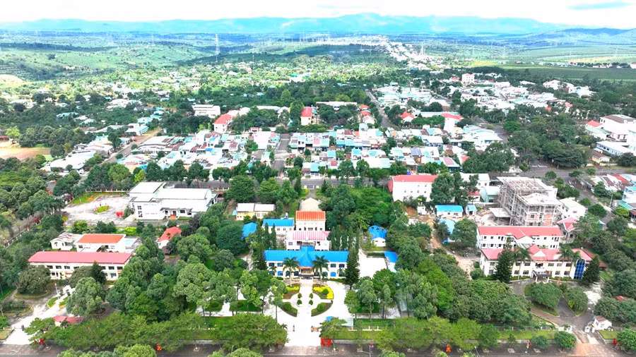 62.jpg