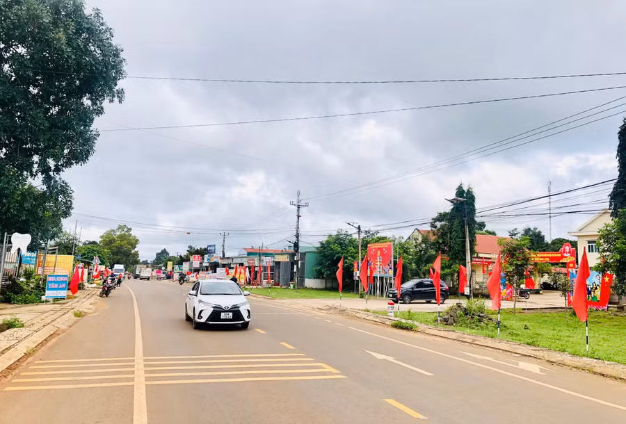1-4777.jpg