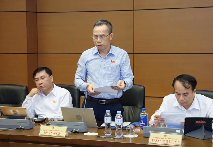 db-dong-ngoc-ba.jpg