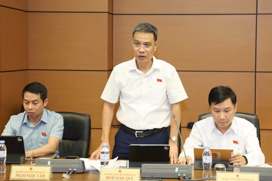 db-dinh-ngoc-quy.jpg