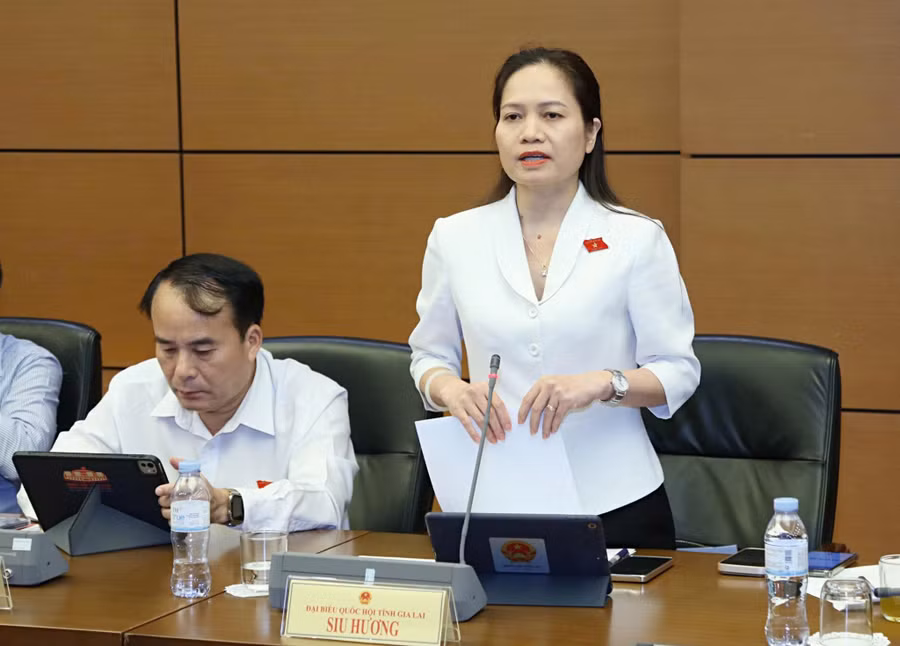 pho-truong-doan-chuyen-trach-doan-dai-bieu-quoc-hoi-tinh.jpg