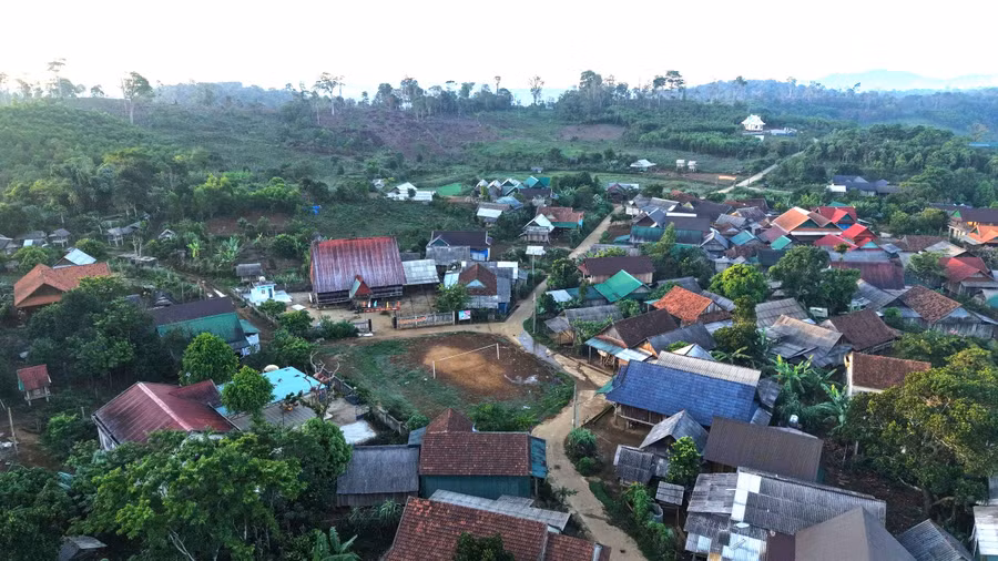 doi-song-kinh-te-nguoi-dan-thon-1-ngay-cang-khoi-sac-nho-tan-dung-tot-lam-san-phu-duoi-tan-rung-thanh-sang.jpg