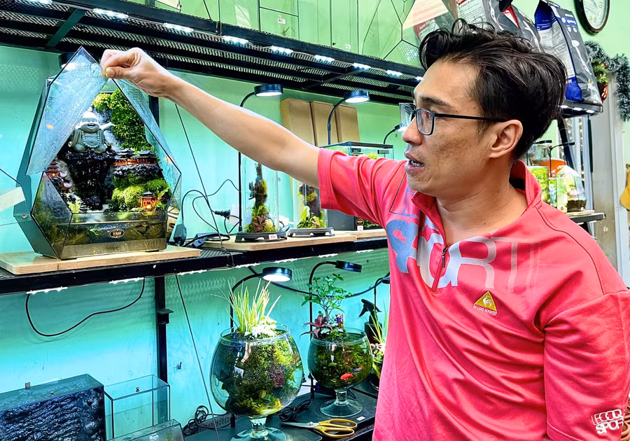 tac-pham-terrarium-1.jpg