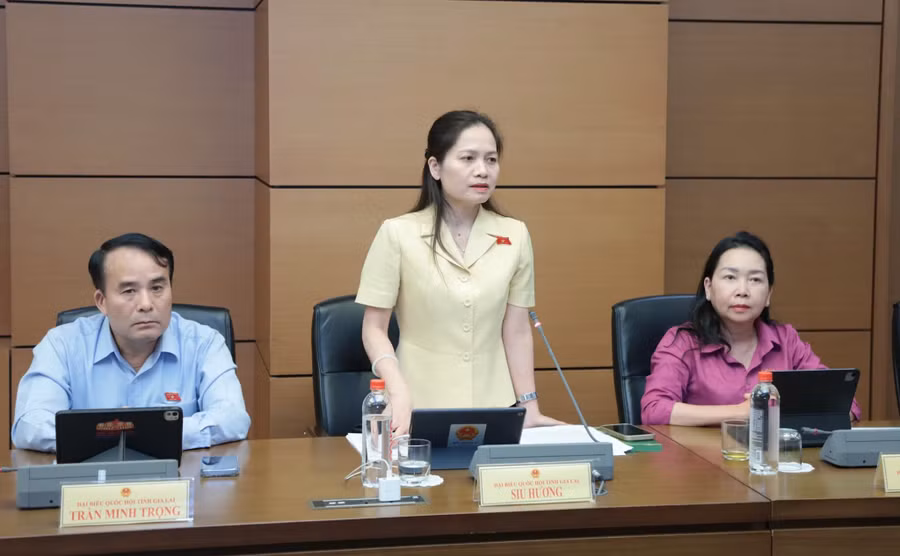 db-siu-huong-luu-y-du-thao-chua-quy-dinh-ro-hieu-luc-cua-quyet-dinh-trong-truong-hop-bi-khoi-kien-3116.jpg