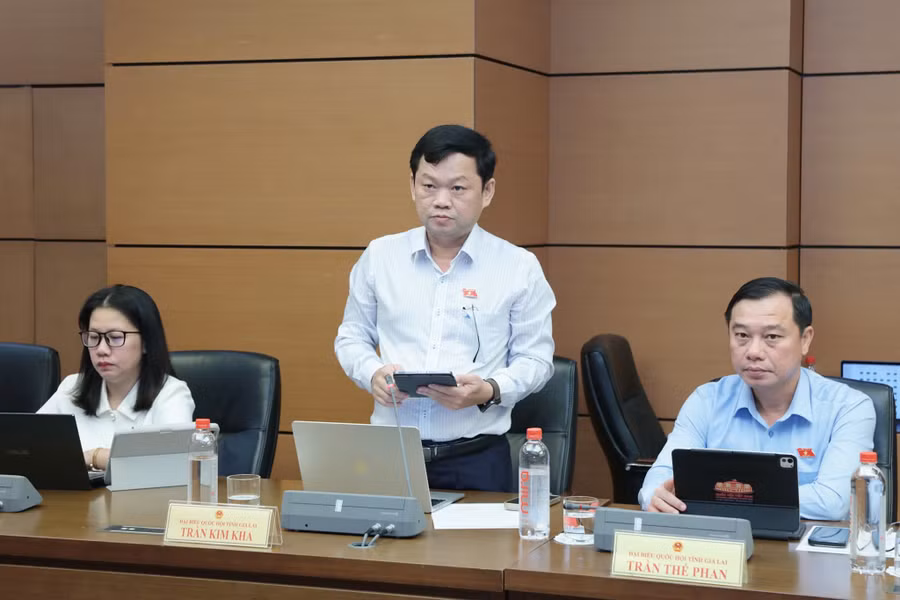 dai-bieu-db-tran-kim-kha-cung-de-nghi-ra-soat-quy-dinh-de-bao-dam-thong-nhat-voi-phap-luat-chuyen-nganh-giam-ganh-nang-tuan-thu-va-nang-cao-tinh-kha-thi.jpg