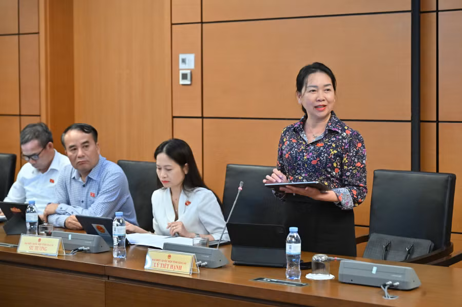 db-ly-tiet-hanh-pho-truong-doan-chuyen-trach-doan-dai-bieu-quoc-hoi-tinh-gia-lai-tham-gia-gop-y-vao-cac-du-an-luat-ve-tu-phap-hinh-su.jpg