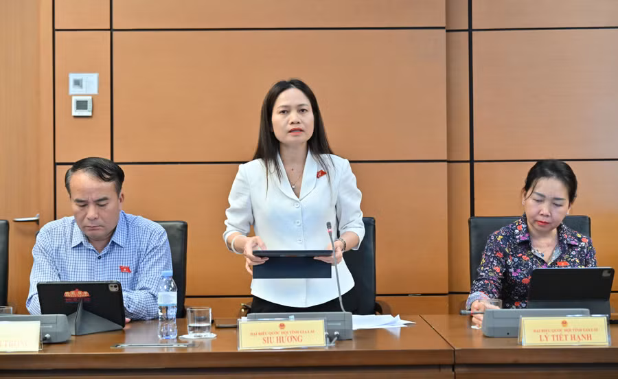 db-siu-huong-pho-truong-doan-chuyen-trach-doan-dai-bieu-quoc-hoi-tinh-gia-lai-thma-gia-gop-y-tai-to.jpg