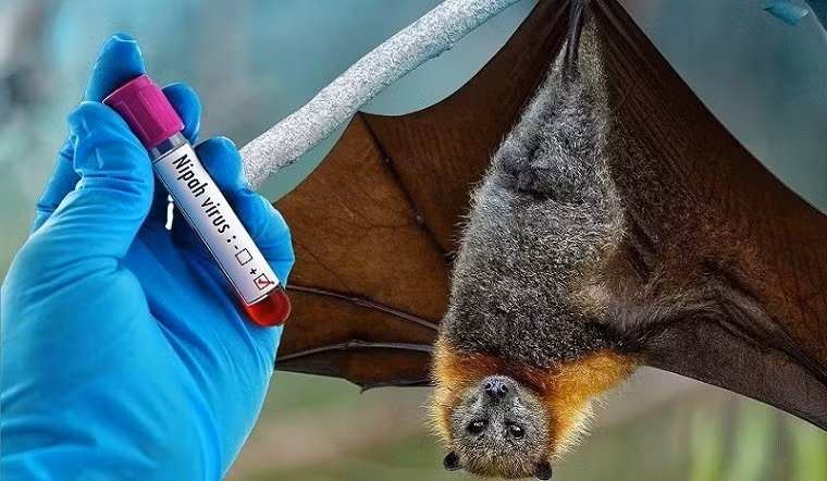benh-virus-nipah-2.jpg