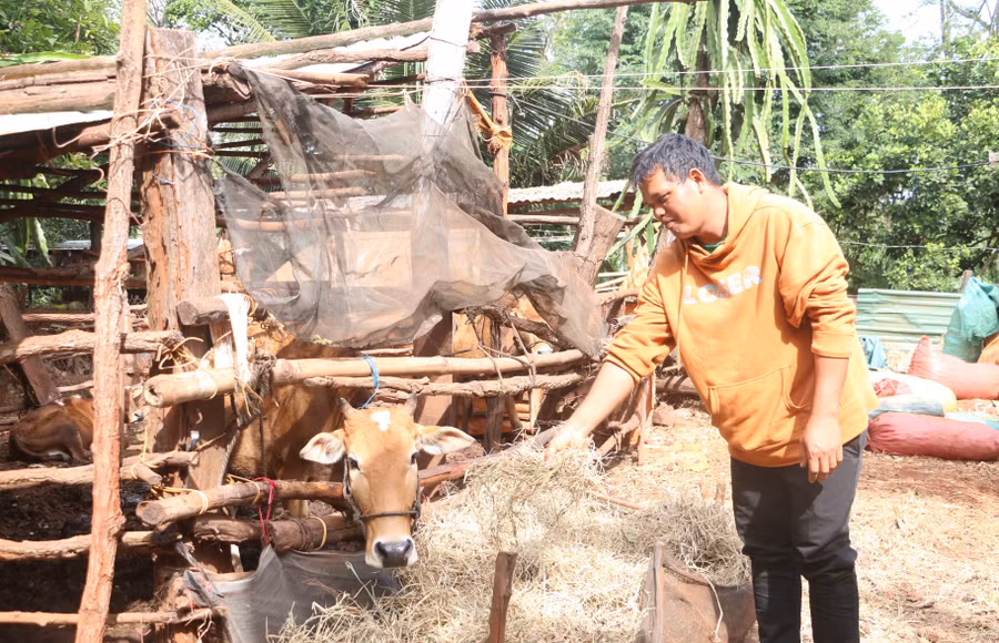 anh-kpah-anek-phan-khoi-khi-duoc-ho-tro-xay-nha-khang-trang-va-cap-bo-sinh-san-de-phat-trien-chan-nuoi-quang-tan.jpg