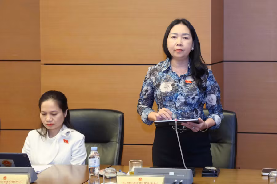 pho-truong-doan-chuyen-trach-doan-dbqh-tinh-gia-lai-ly-tiet-hanh-de-nghi-ra-soat-lam-ro-quyen-han-cua-dau-gia-vien-trong-xac-dinh-gia-khoi-diem-dung-phien-dau-gia-va-xu-ly-cac-hanh-vi-vi-pham.jpg