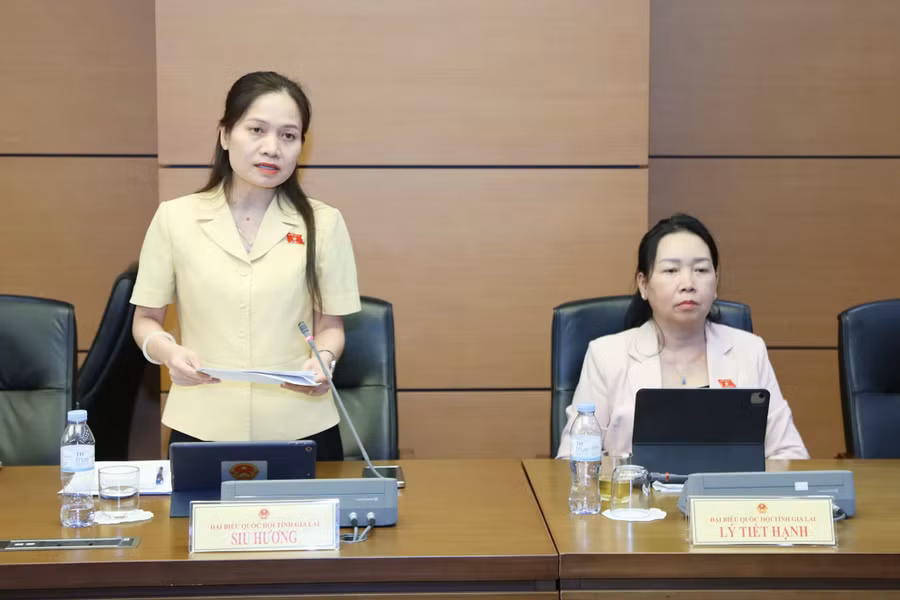 pho-truong-doan-chuyen-trach-doan-dbqh-tinh-gia-lai-siu-huong-de-nghi-nghien-cuu-bo-sung-cac-truong-hop-neu-tren-tuong-tu-cach-tiep-can-ve-dieu-kien-ap-dung-trinh-tu-thu-tuc-rut-gon-khi-ky-ket-thoa-thuan-quoc-te-tai.jpg
