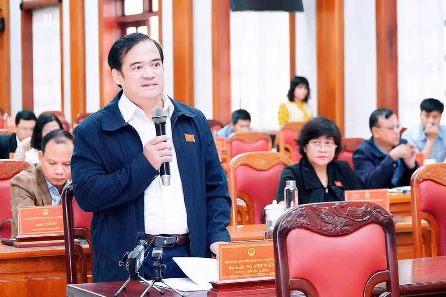 dai-bieu-vo-anh-tuan.jpg