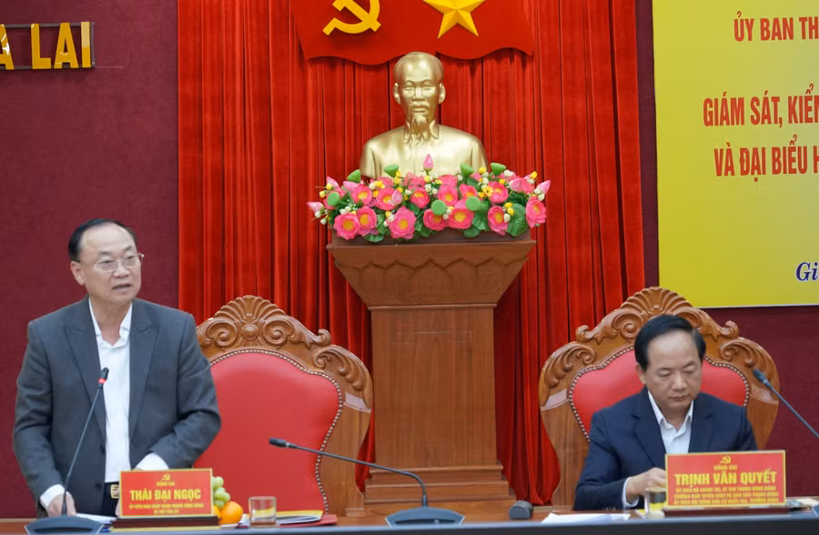 2-bi-thu-tinh-uy-thai-dai-ngoc-phat-bieu.jpg