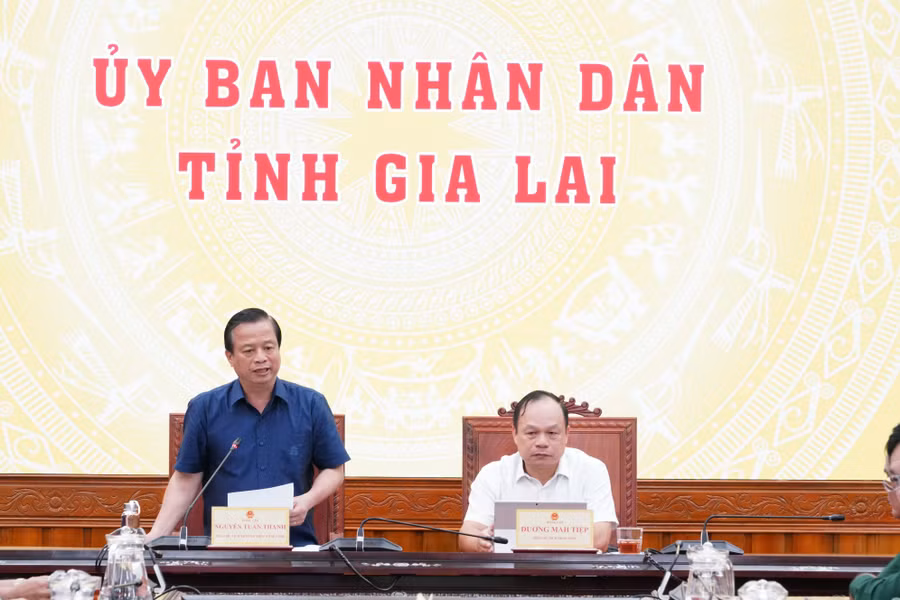 a2-pho-chu-tich-thuong-truc-ubnd-tinh-nguyen-tuan-thanh-phat-bieu-tai-cuoc-hop-anh-nh.jpg