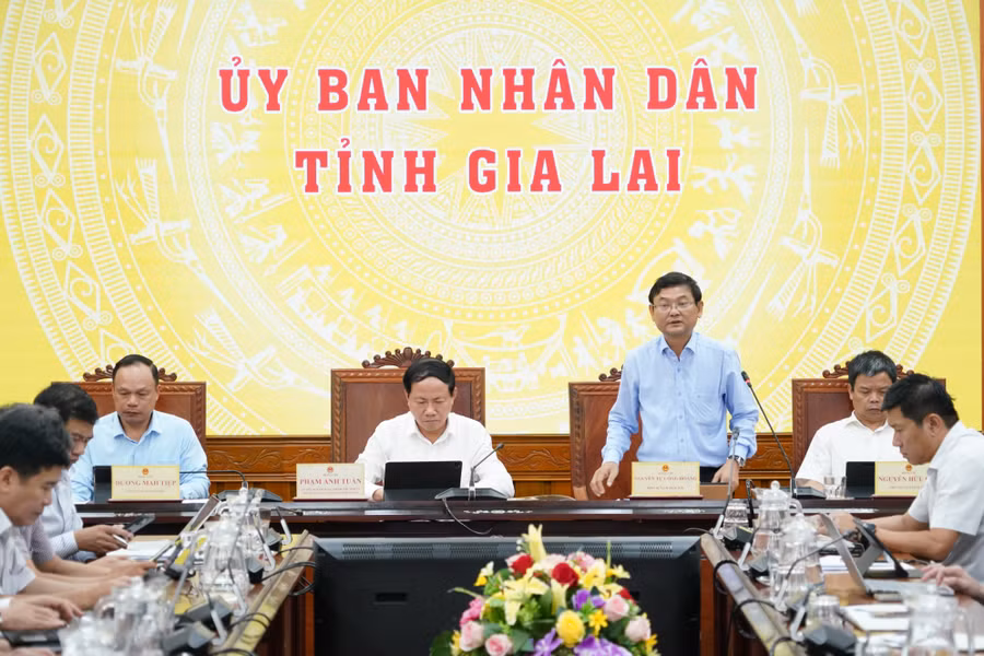 pho-chu-tich-ubnd-tinh-nguyen-tu-cong-hoang-phat-bieu.jpg