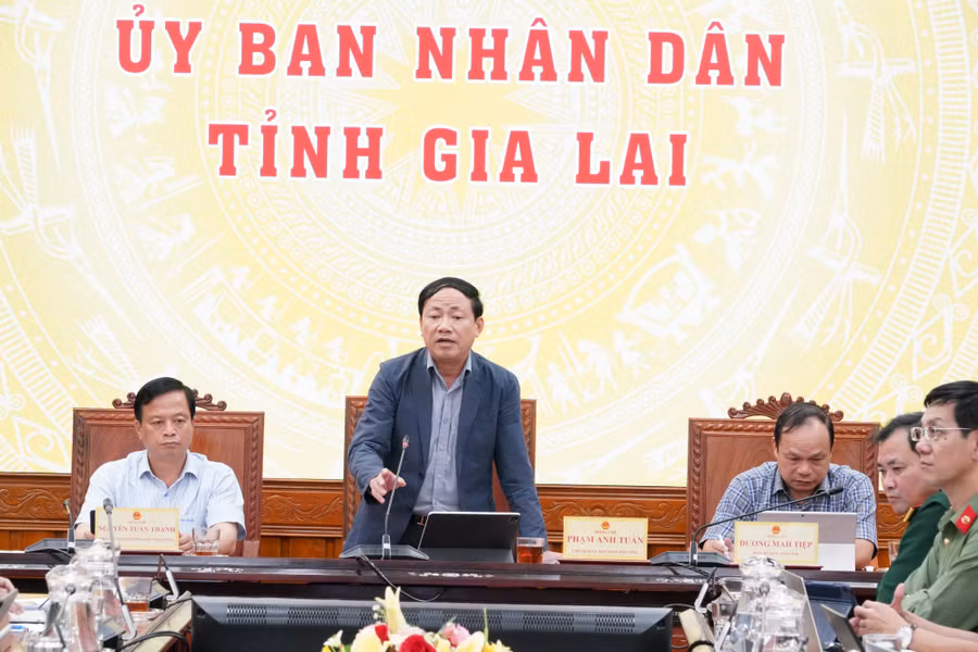 a2-chu-tich-ubnd-tinh-pham-anh-tuan-phat-bieu.jpg