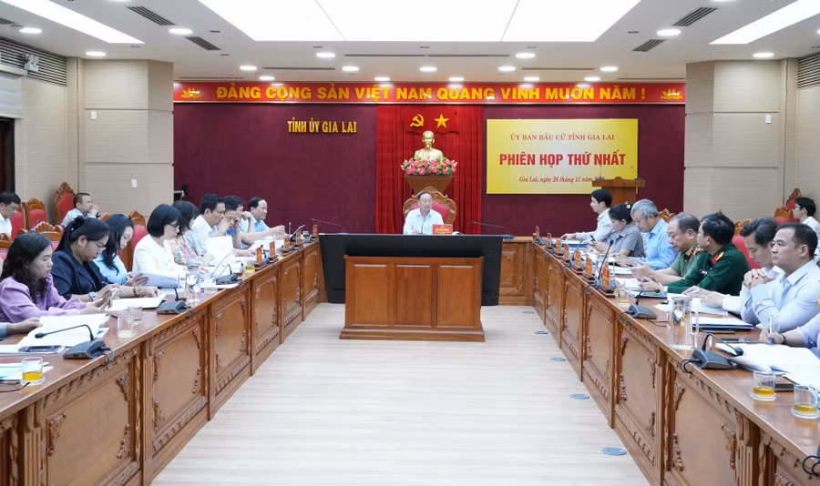 a1-dong-chi-thai-dai-ngoc-chu-tri-phien-hop.jpg