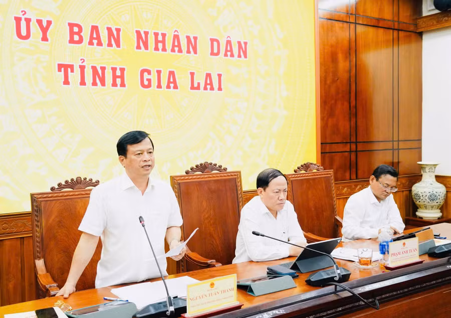 pho-chu-tich-thuong-truc-ubnd-tinh-nguyen-tuan-thanh-phat-bieu.jpg