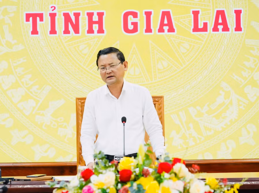 pho-chu-tich-ubnd-tinh-nguyen-tu-cong-hoang-phat-bieu.jpg