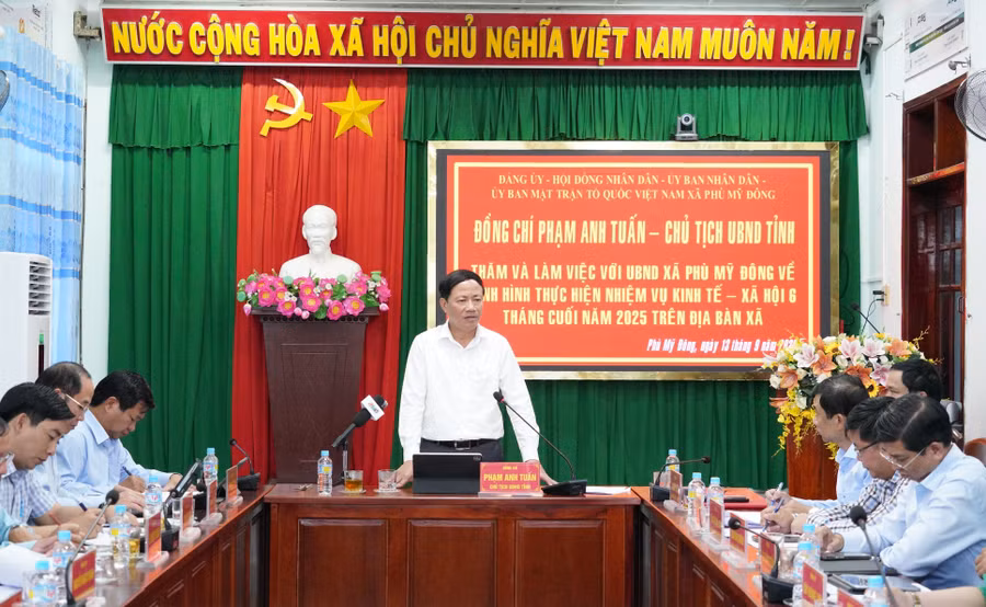 a5.jpg