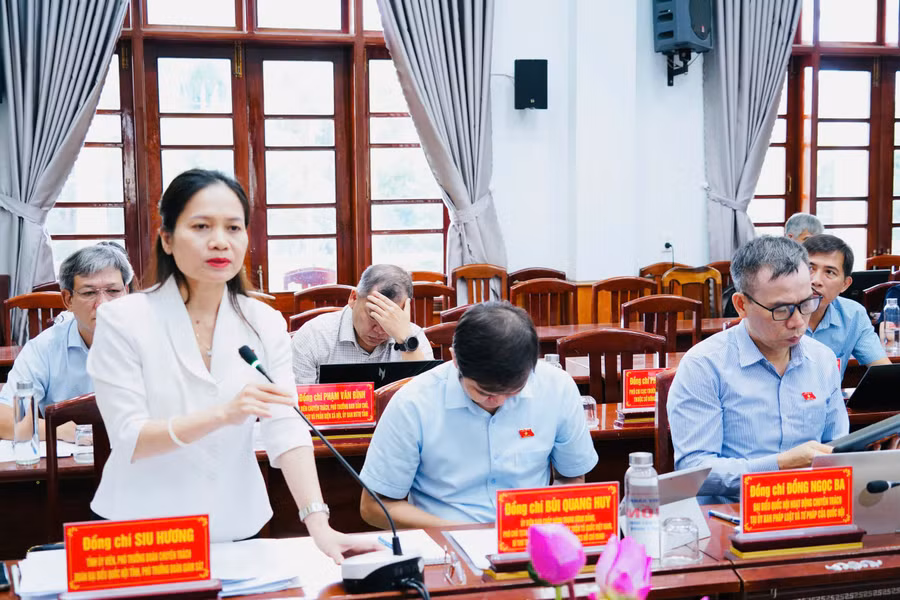 pho-truong-doan-chuyen-trach-doan-dbqh-tinh-siu-huong-phat-bieu.jpg